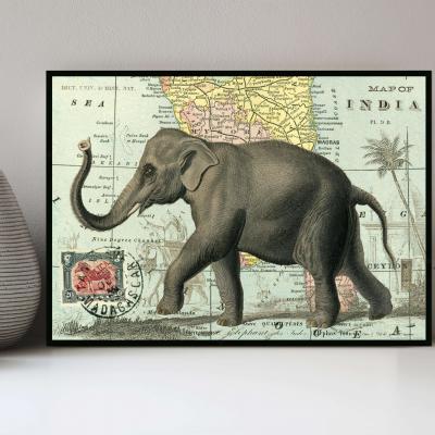 20 - Carte de l'Inde & Éléphant