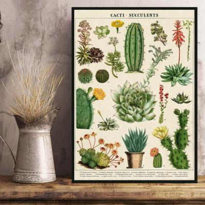 28 - Cactus & Plantes Grasses